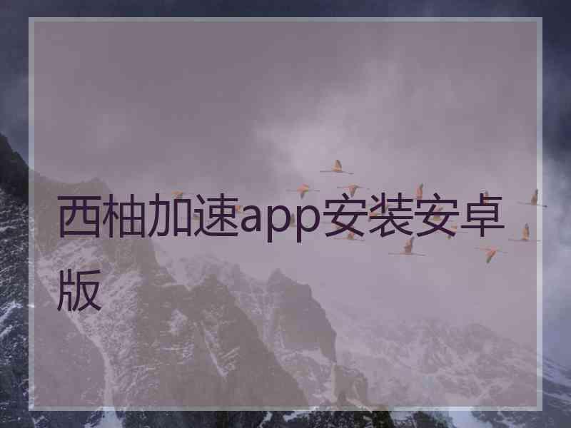 西柚加速app安装安卓版