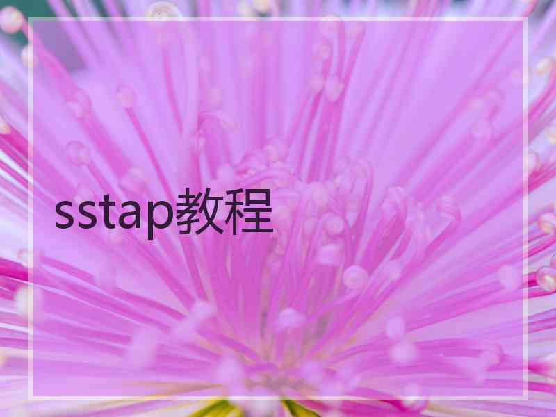 sstap教程