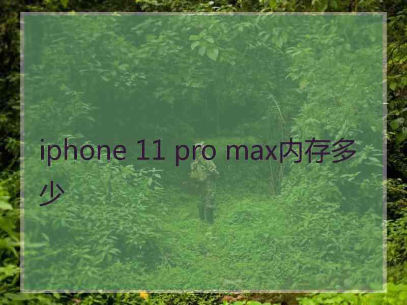 iphone 11 pro max内存多少