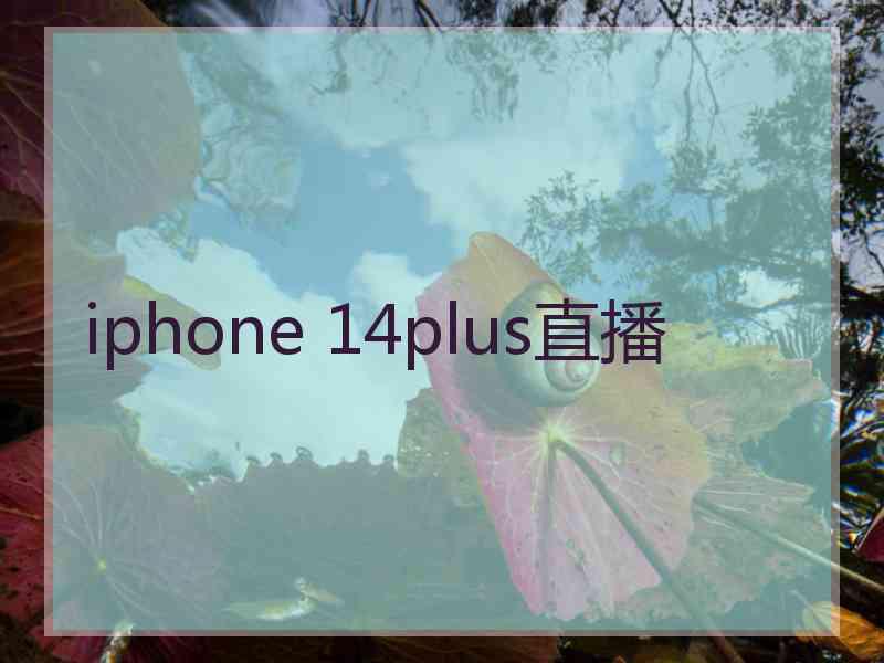 iphone 14plus直播