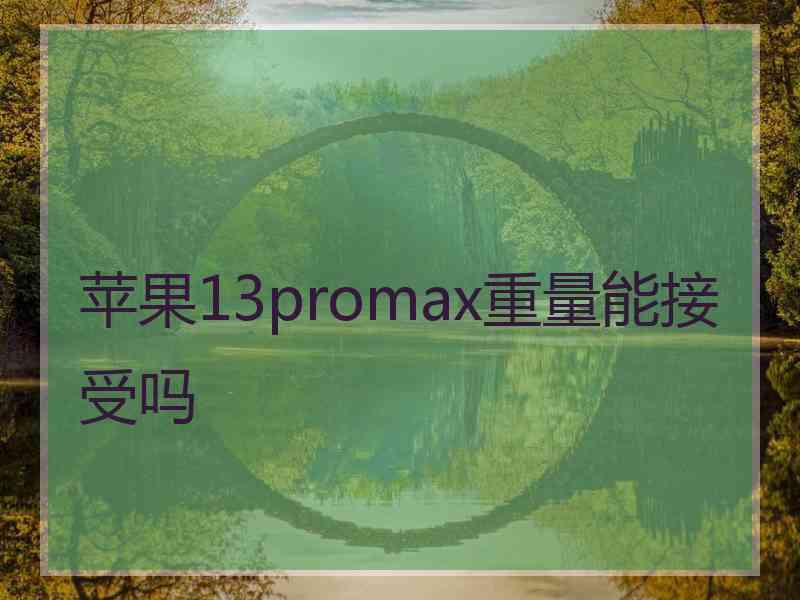 苹果13promax重量能接受吗