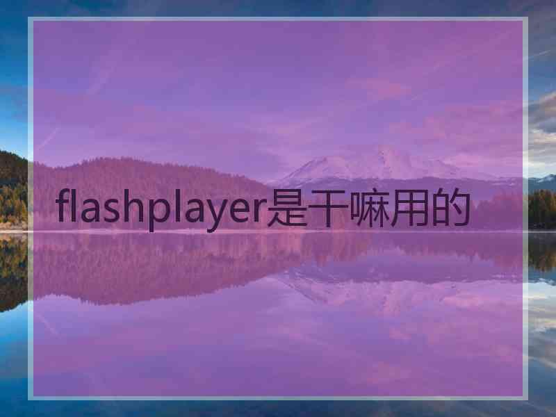 flashplayer是干嘛用的