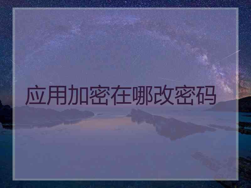 应用加密在哪改密码