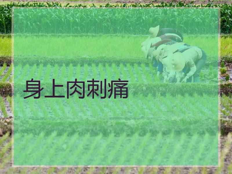 身上肉刺痛