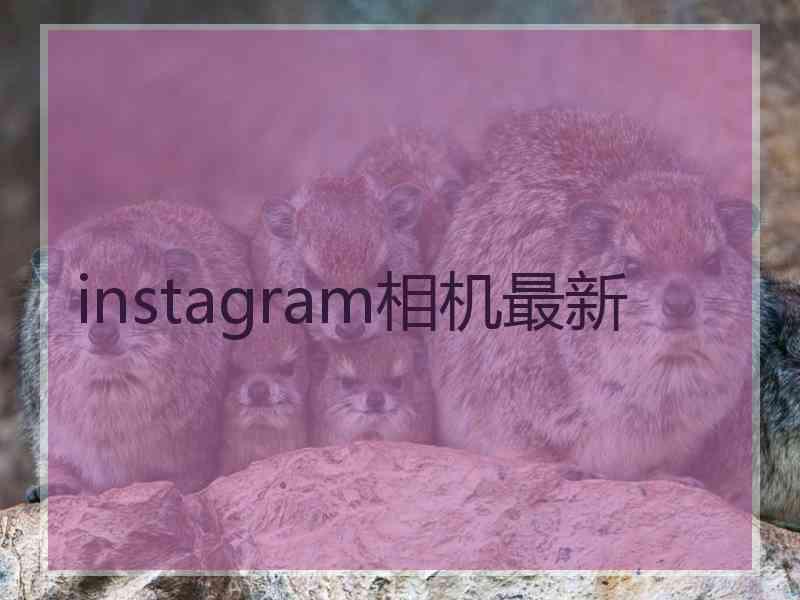 instagram相机最新