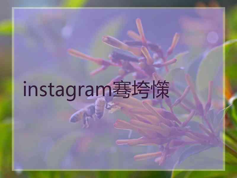 instagram骞垮憡