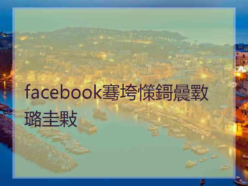 facebook骞垮憡鎶曟斁璐圭敤