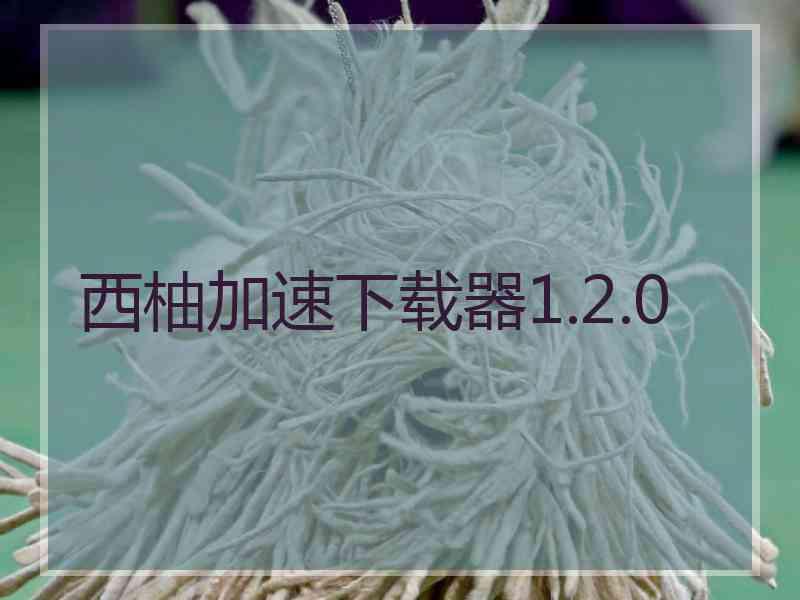 西柚加速下载器1.2.0