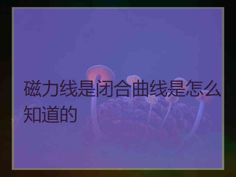 磁力线是闭合曲线是怎么知道的