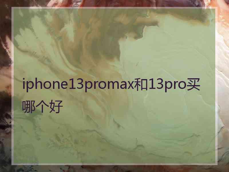 iphone13promax和13pro买哪个好