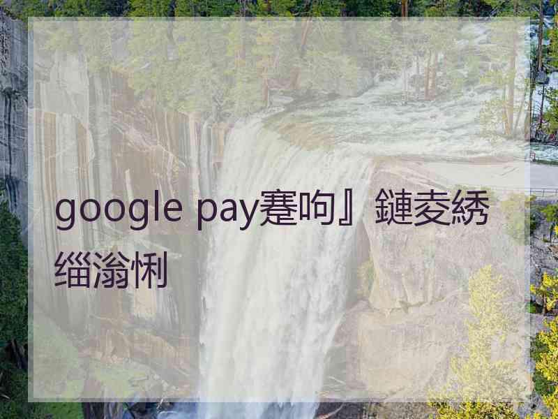 google pay蹇呴』鏈夌綉缁滃悧