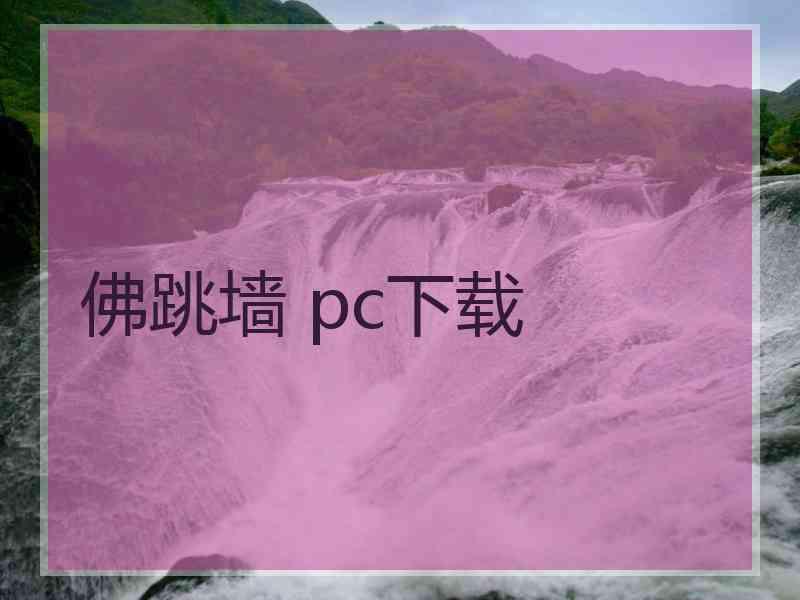 佛跳墙 pc下载