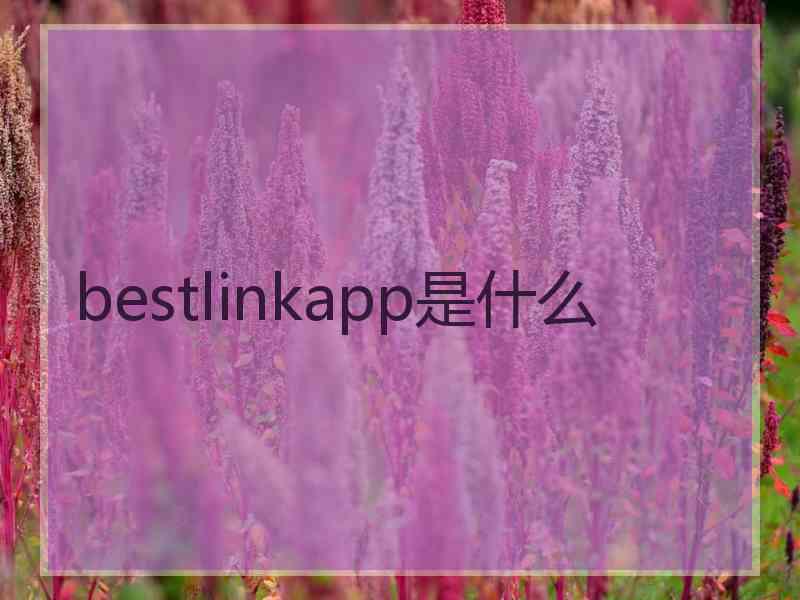 bestlinkapp是什么