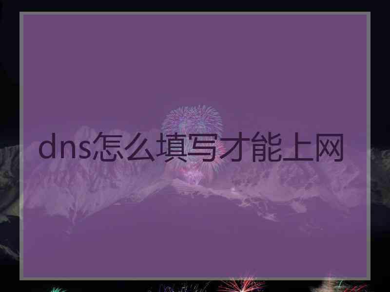 dns怎么填写才能上网