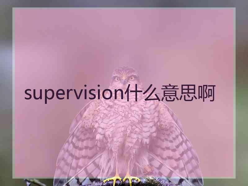 supervision什么意思啊