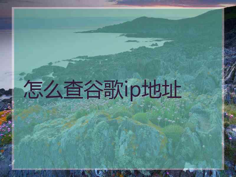 怎么查谷歌ip地址