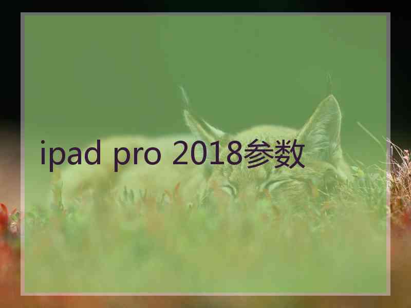 ipad pro 2018参数