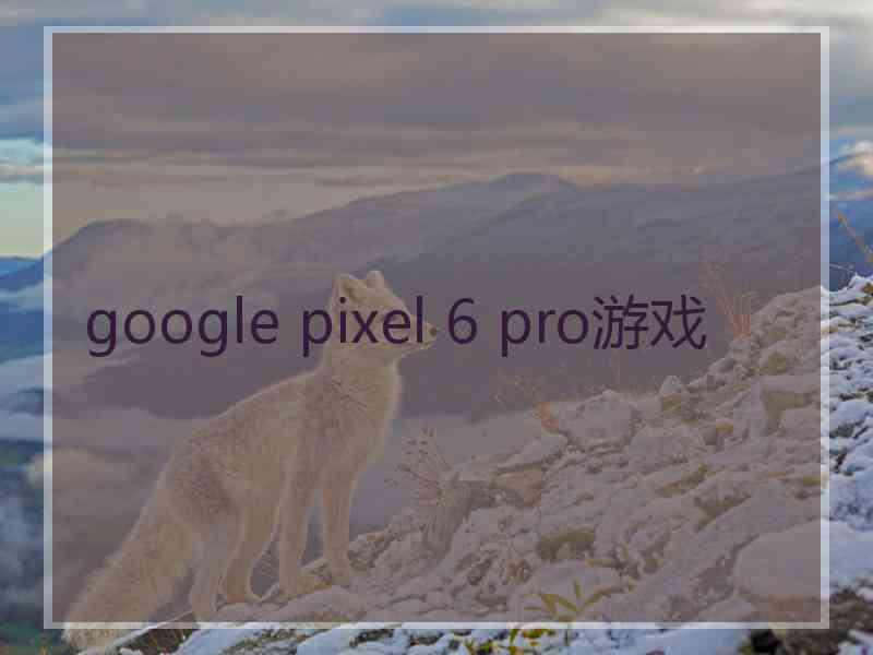 google pixel 6 pro游戏