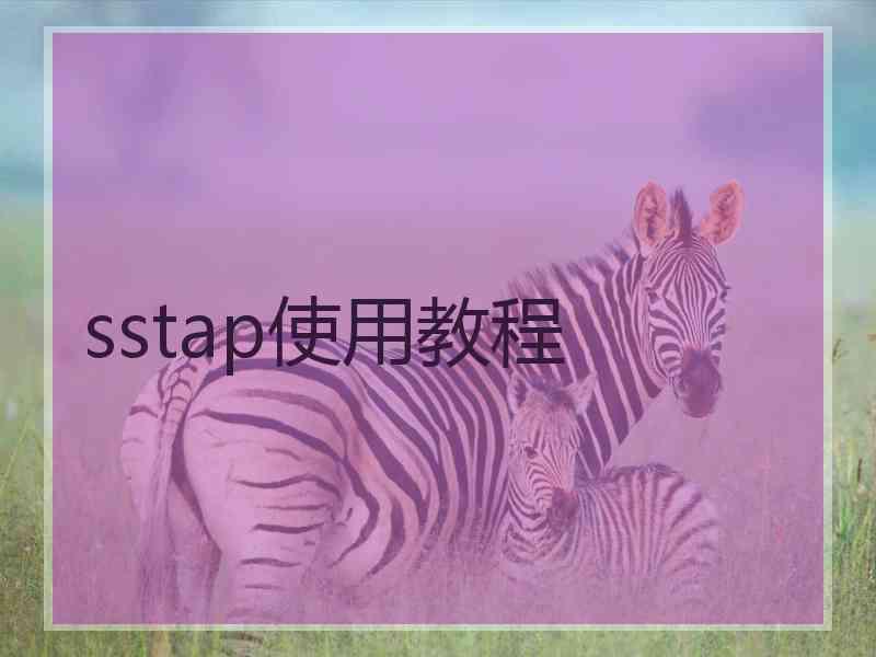 sstap使用教程