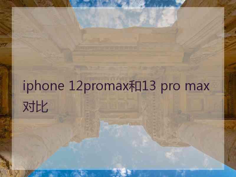 iphone 12promax和13 pro max对比