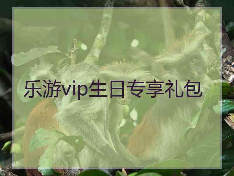 乐游vip生日专享礼包