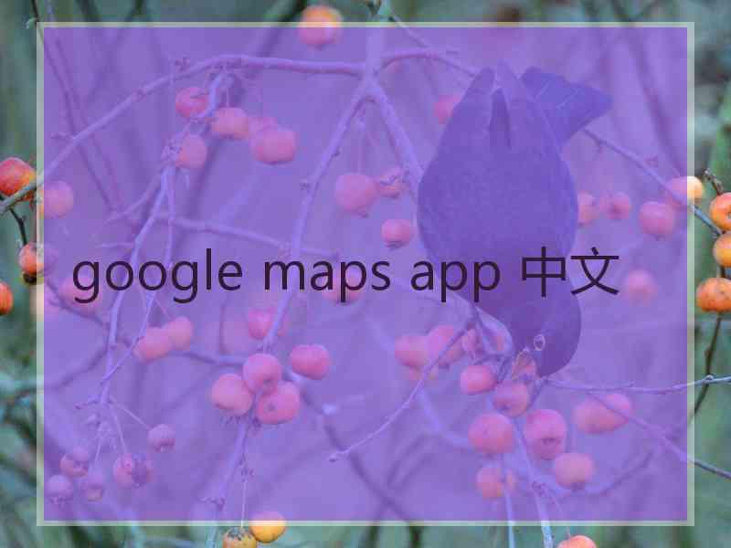 google maps app 中文