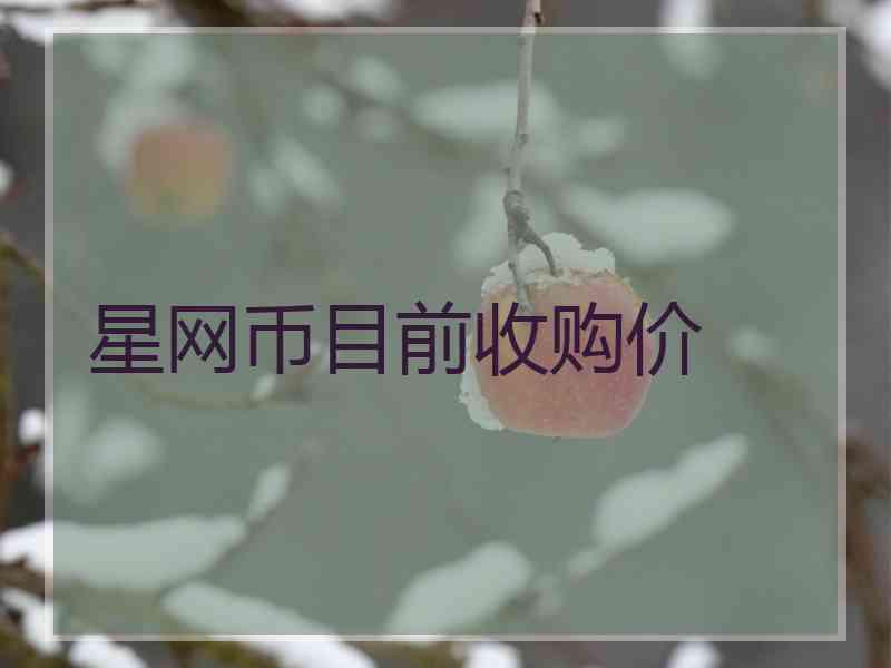 星网币目前收购价