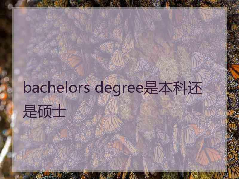 bachelors degree是本科还是硕士