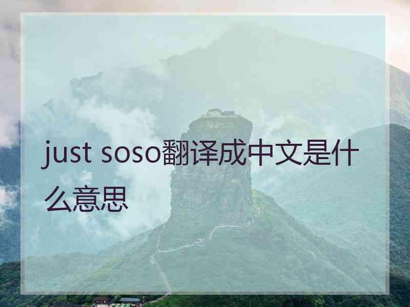 just soso翻译成中文是什么意思