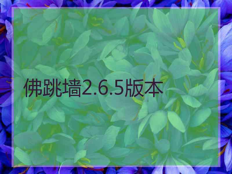 佛跳墙2.6.5版本