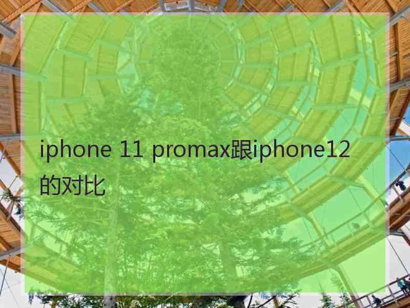 iphone 11 promax跟iphone12的对比