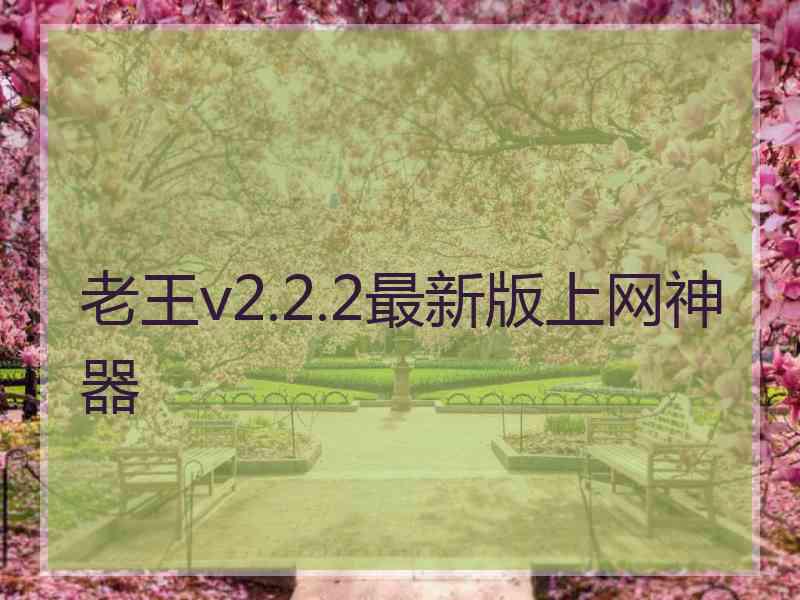 老王v2.2.2最新版上网神器