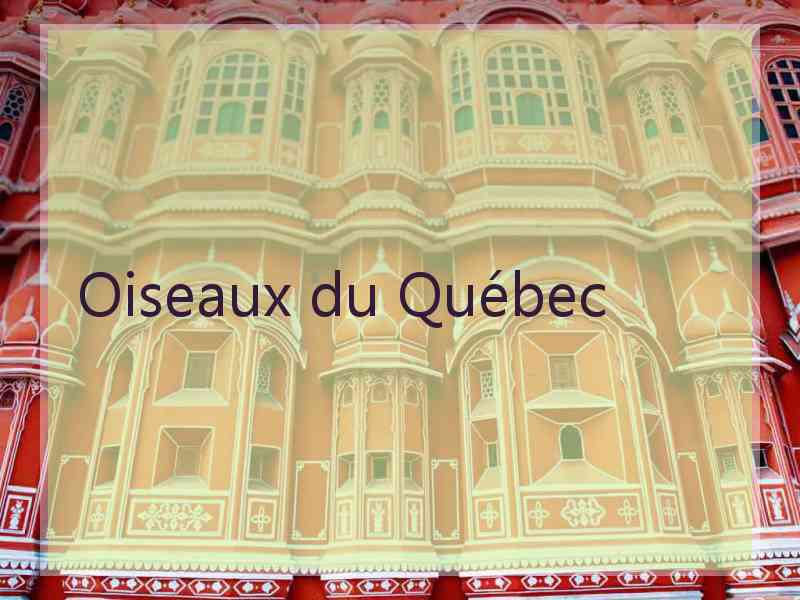 Oiseaux du Québec