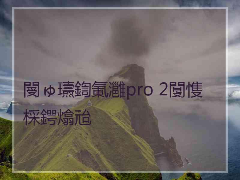 閿ゅ瓙鍧氭灉pro 2闅愯棌鍔熻兘