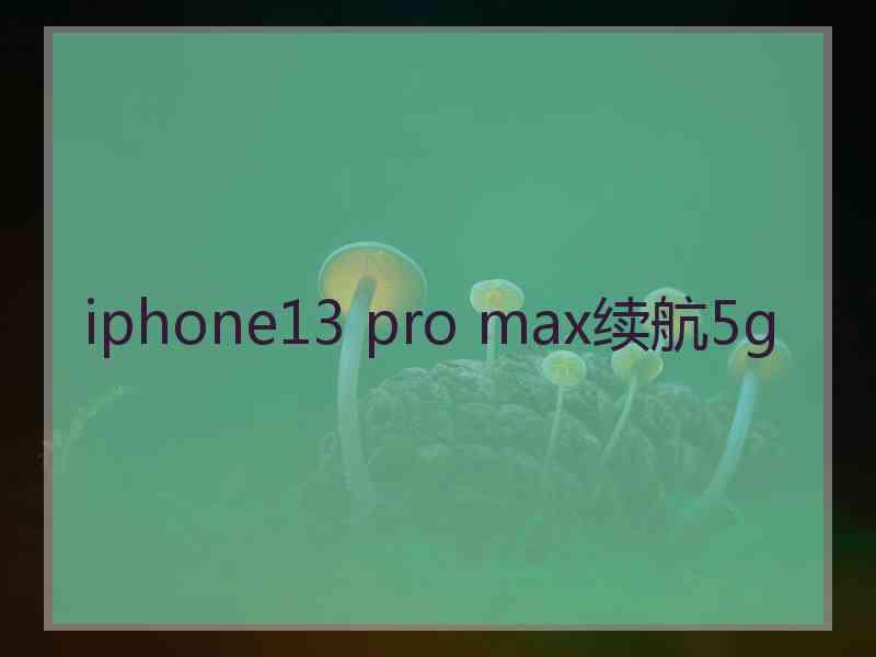 iphone13 pro max续航5g