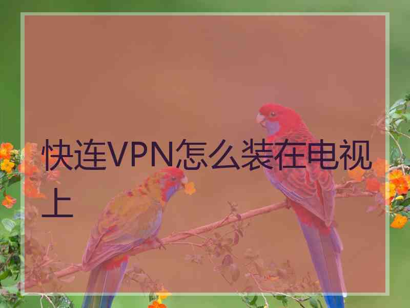 快连VPN怎么装在电视上