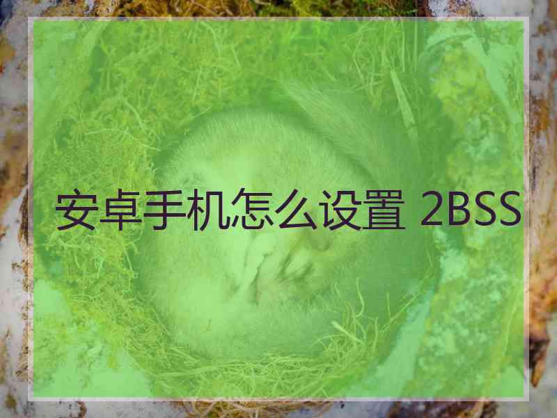 安卓手机怎么设置 2BSS