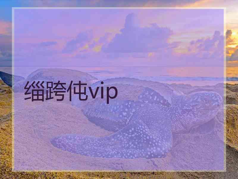 缁跨伅vip