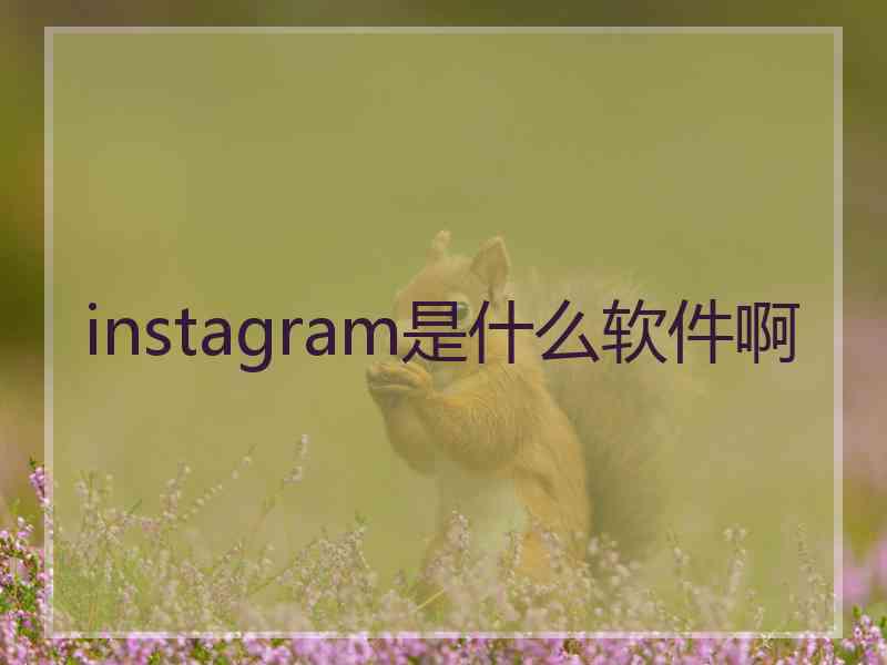 instagram是什么软件啊