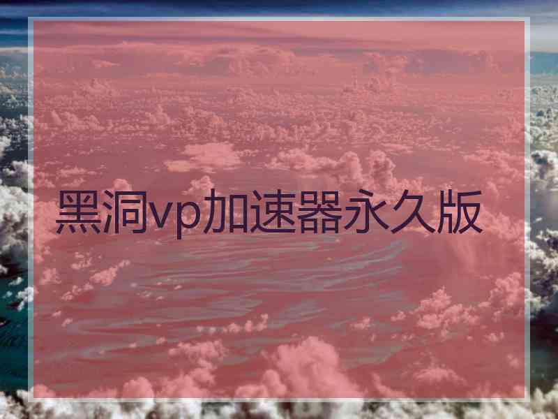 黑洞vp加速器永久版