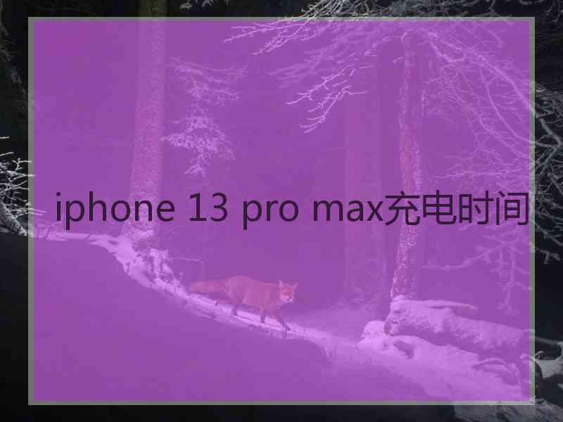 iphone 13 pro max充电时间