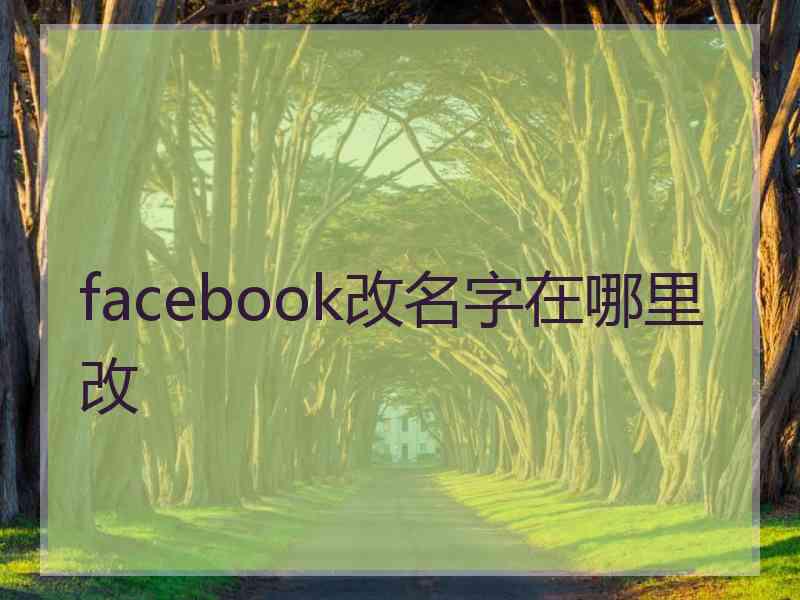 facebook改名字在哪里改