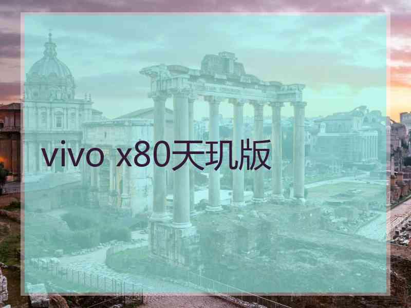 vivo x80天玑版