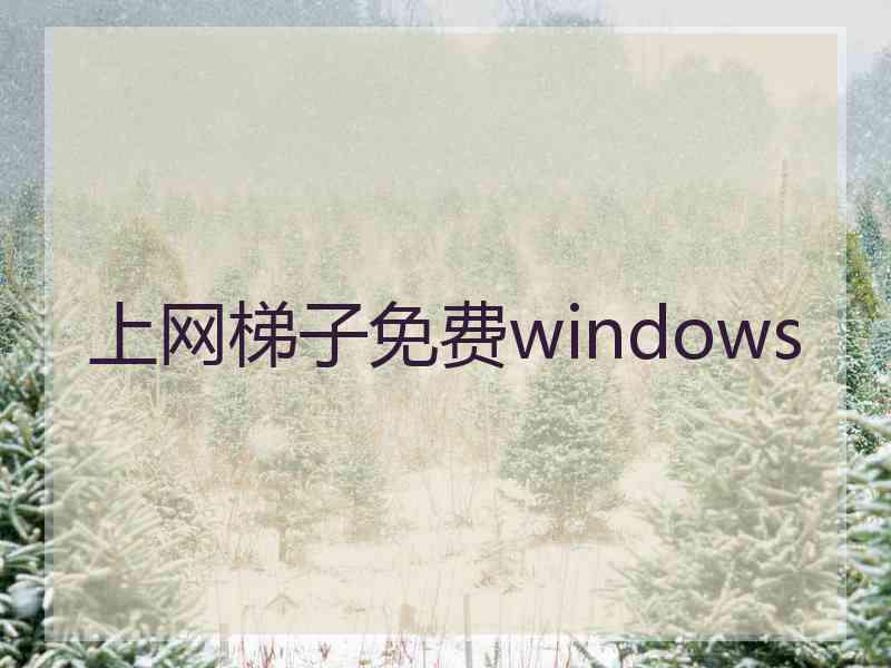 上网梯子免费windows