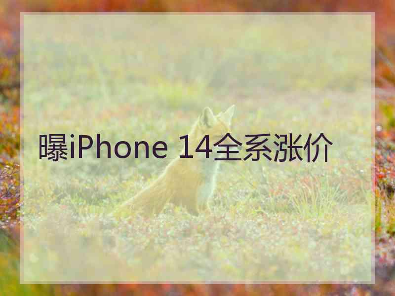 曝iPhone 14全系涨价