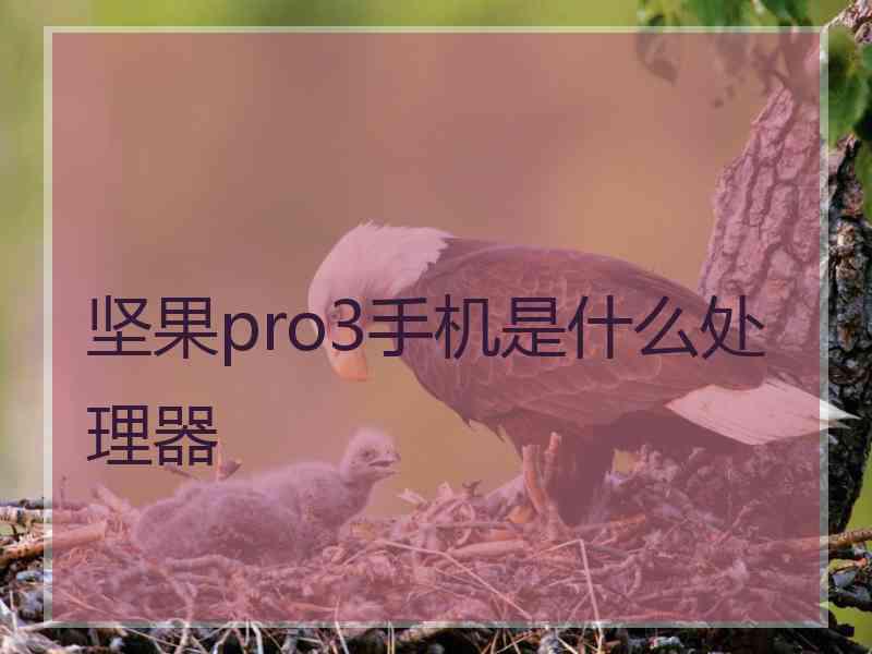 坚果pro3手机是什么处理器