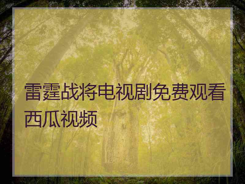 雷霆战将电视剧免费观看西瓜视频