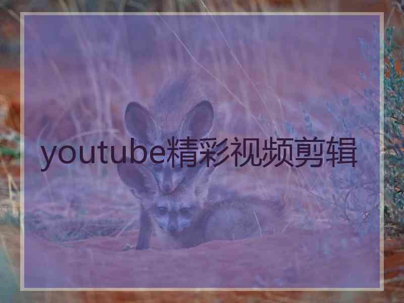 youtube精彩视频剪辑