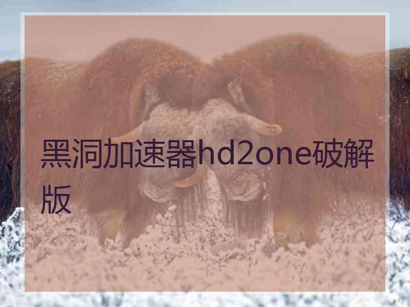 黑洞加速器hd2one破解版