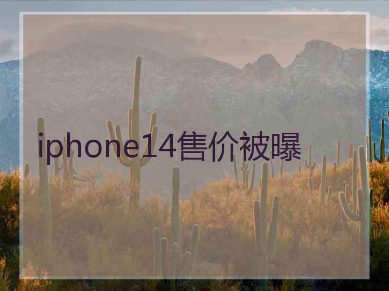 iphone14售价被曝